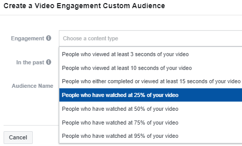 Facebook Custom Audience Video Engagement